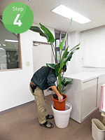 ステップ4.ご契約後、レンタルスタッフが観葉植物の設置にうかがいます。